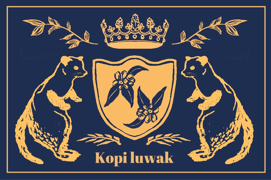 コピル・アク ドリップパック1個