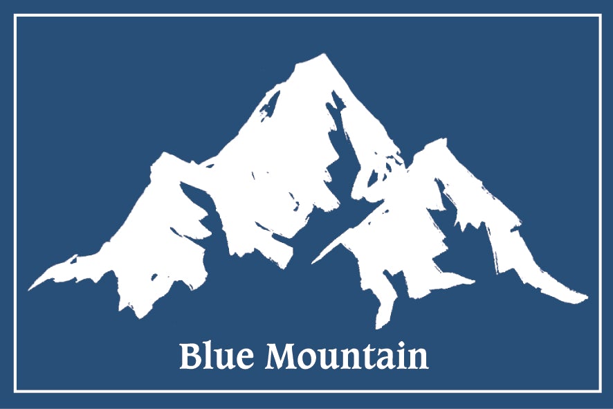 珈琲の王様 ブルーマウンテンNo1 ドリップパック20個