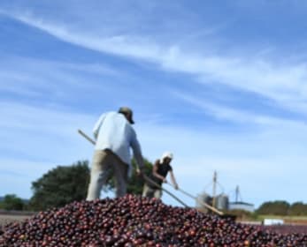 ブラジル サントアントニオ プレミアムショコラ