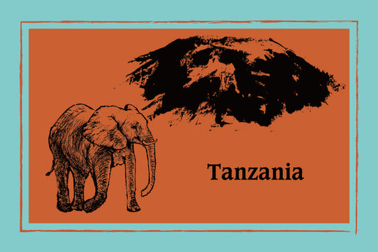 タンザニア　ディープブルーAA　(キリマンジャロ)