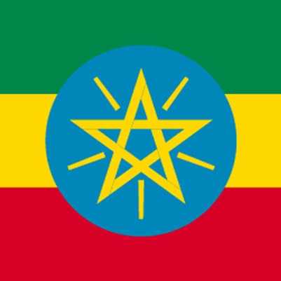 モカ　エチオピア　ベレガ