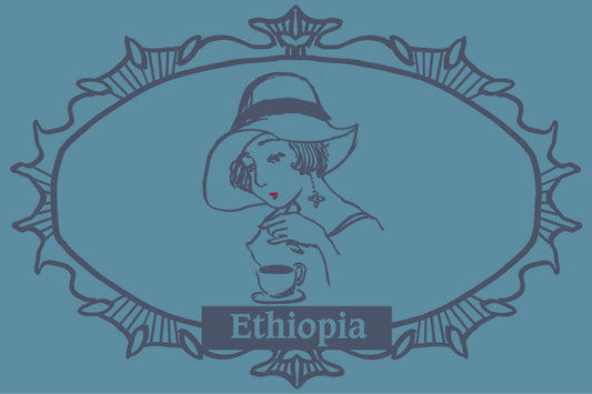 モカ　エチオピア　ベレガ